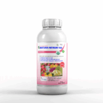 NATURA NITRUM 100 - Phục hồi cây, đâm chồi, ra rễ, to lá - Chai 500ml