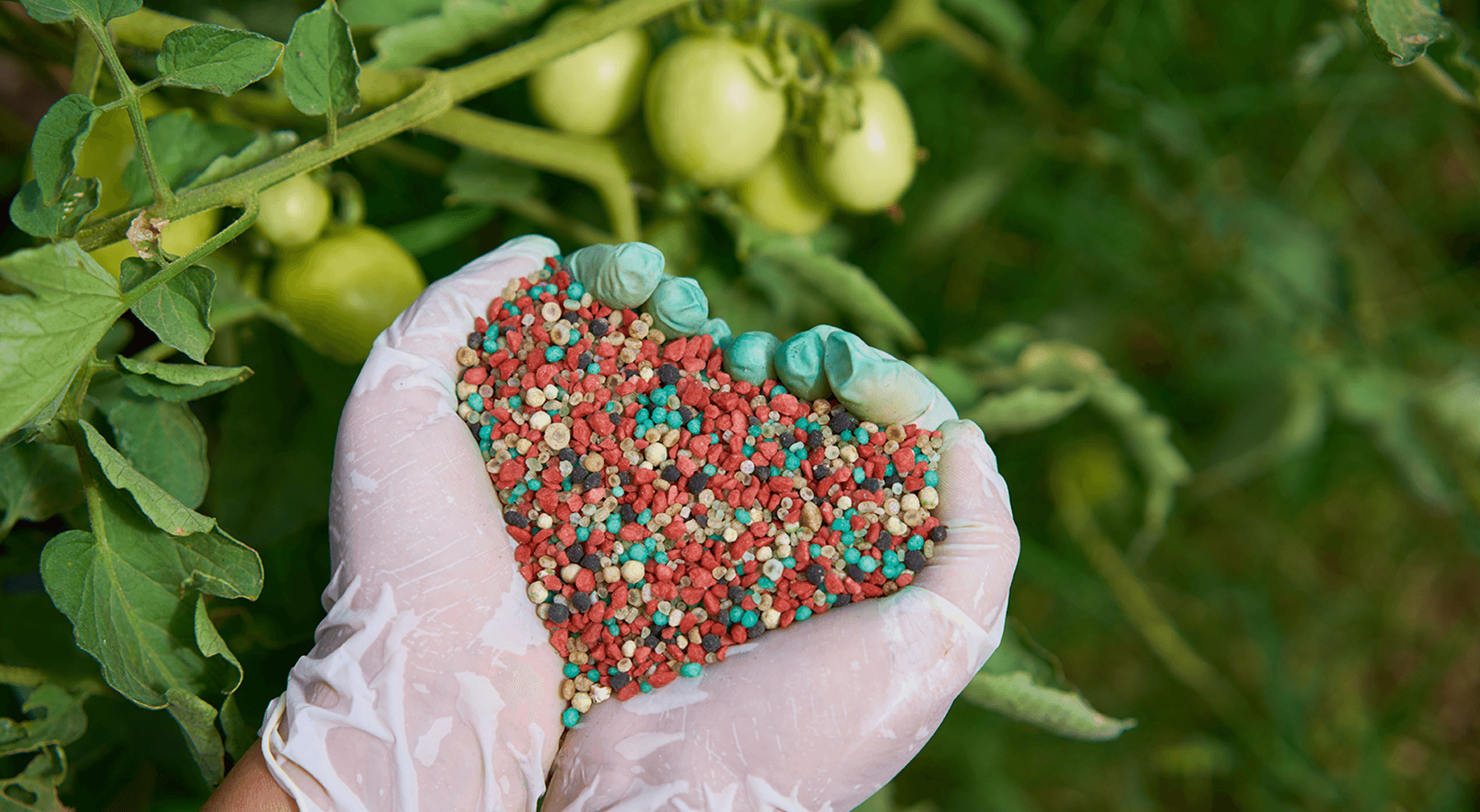 Làm sao để trở thành đại lý phân phối?