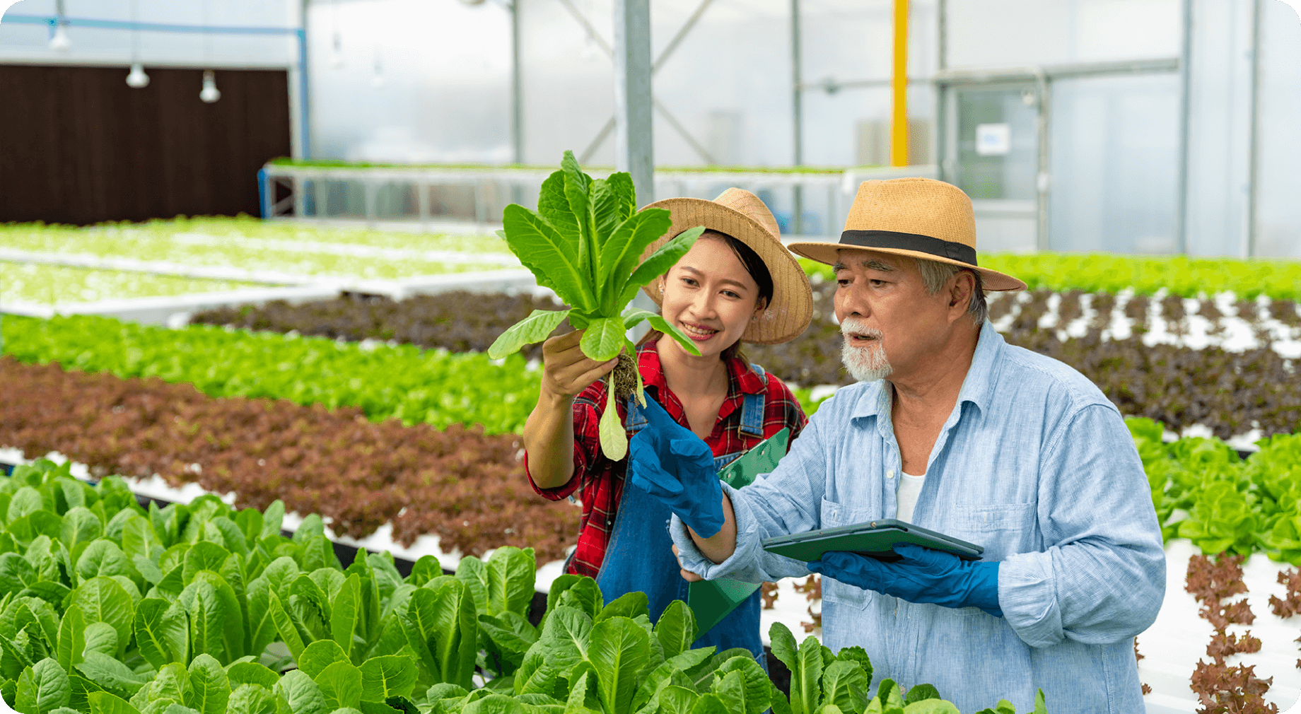 Chính sách giao hàng như thế nào?