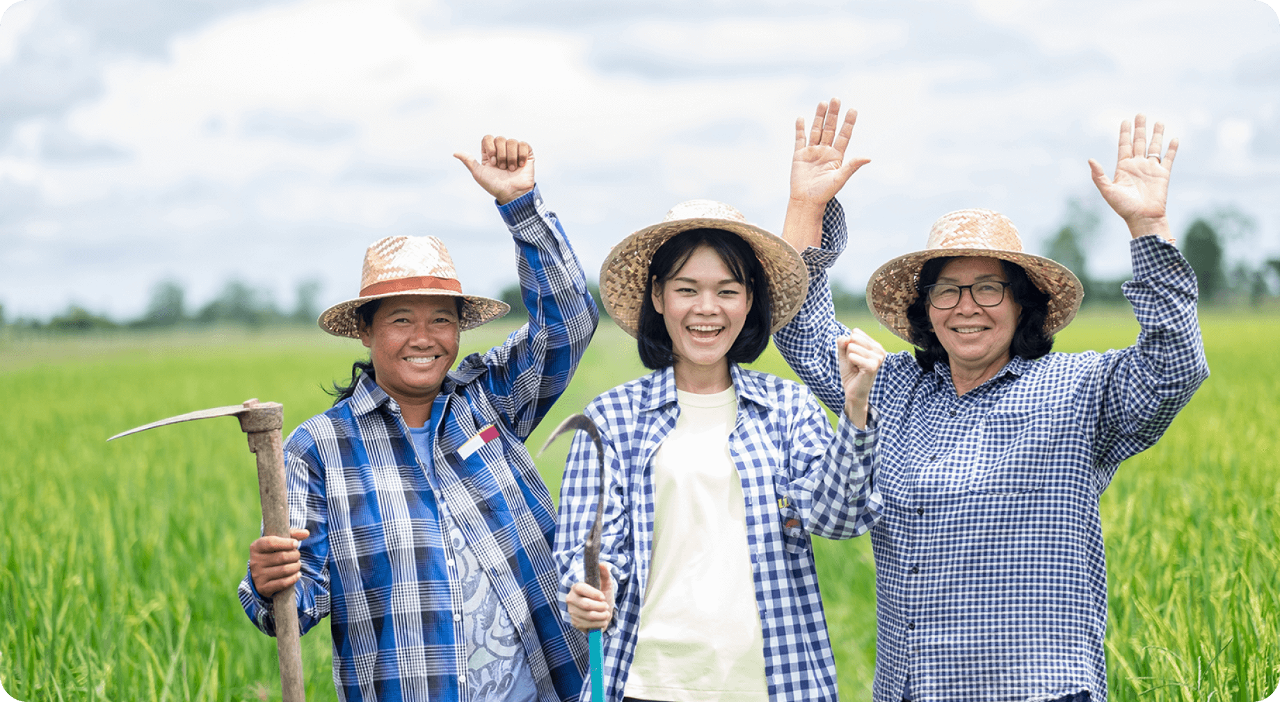 Tôi có thể mua phân bón trực tiếp trên website không?