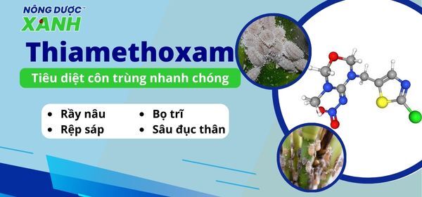 Bảo vệ cây trồng hiệu quả với hoạt chất Thiamethoxam