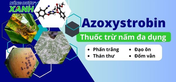 Hoạt chất Azoxystrobin – Thuốc trừ nấm đa dụng trong nông nghiệp