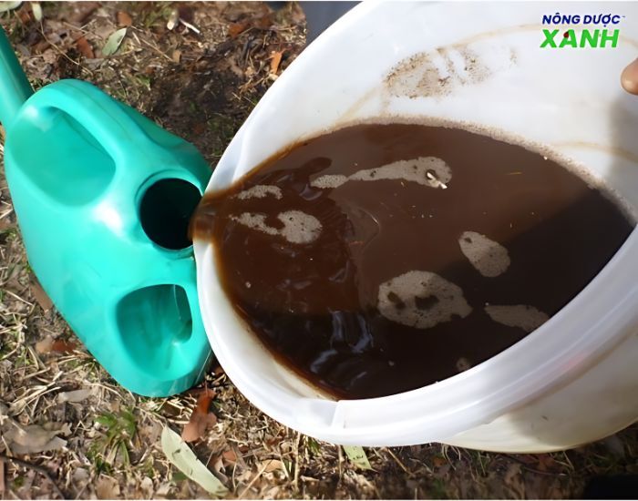 uploads2f20242f072f212f08756fab8efa5bf85b92234a0e35ec1b9ffdd8c52ftim-hieu-tong-quat-phan-bon-dich-trun-que tim-hieu-tong-quat-phan-bon-dich-trun-que.jpg