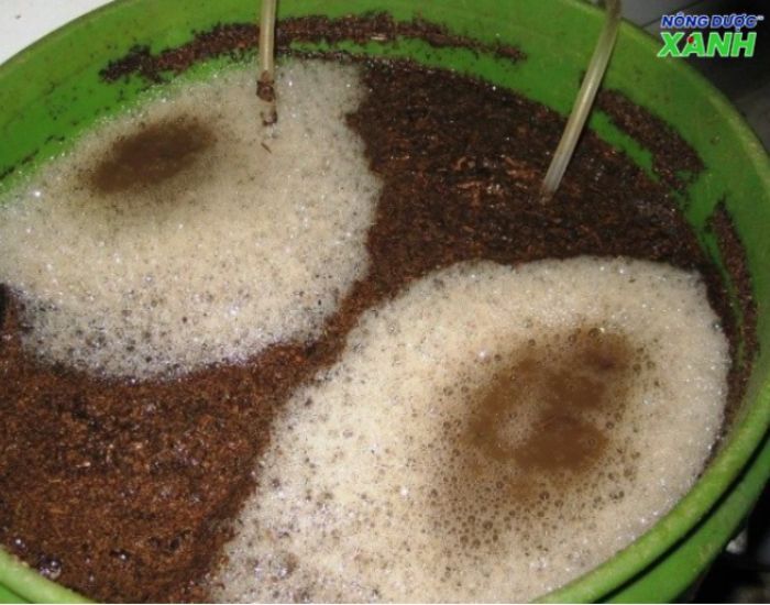 uploads2f20242f072f212f25d4942f442851b7d8a131fdab6ffcf474d117582fthanh-phan-chinh-tao-nen-phan-bon-dich-trun-que thanh-phan-chinh-tao-nen-phan-bon-dich-trun-que