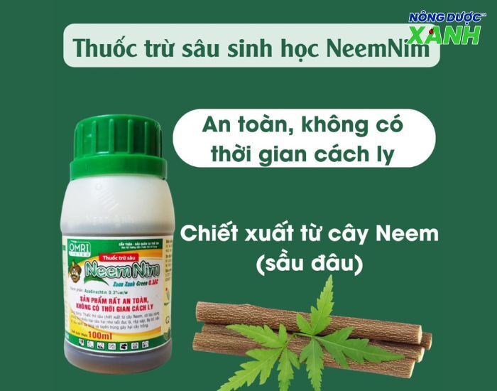 uploads2f20242f072f212f40ce6c851078fca9d3b1f2da51e3c848ff609d792fthuoc-tru-sau-thao-moc-neemnim thuoc-tru-sau-thao-moc-neemnim.jpg