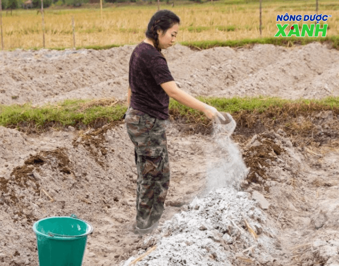 uploads2f20242f072f222f20e614c6a1df645df8cfede5bf88d33addfc0bbf2fbon-voi-truoc-khi-gieo-giong bon-voi-truoc-khi-gieo-giong.png