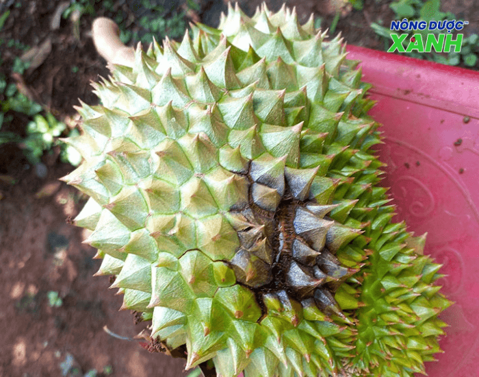 uploads2f20242f072f222f90f3ec29121271fc8160677c06a6bb9e2997fc252fnam-anh-huong-chat-luong-san-pham nam-anh-huong-chat-luong-san-pham.png