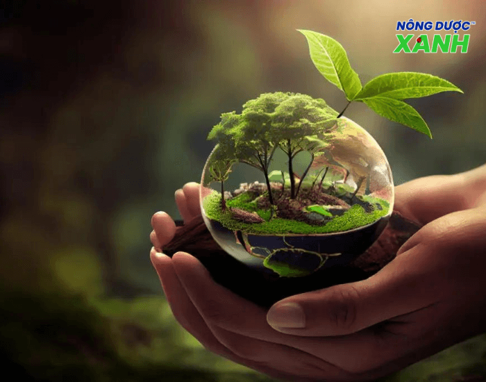 uploads2f20242f072f222fa9f49eca7ee2474bd9a1868656fc6b9cc09461ac2ftrong-mot-loai-cay-gay-mat-can-bang-sinh-thai trong-mot-loai-cay-gay-mat-can-bang-sinh-thai.png